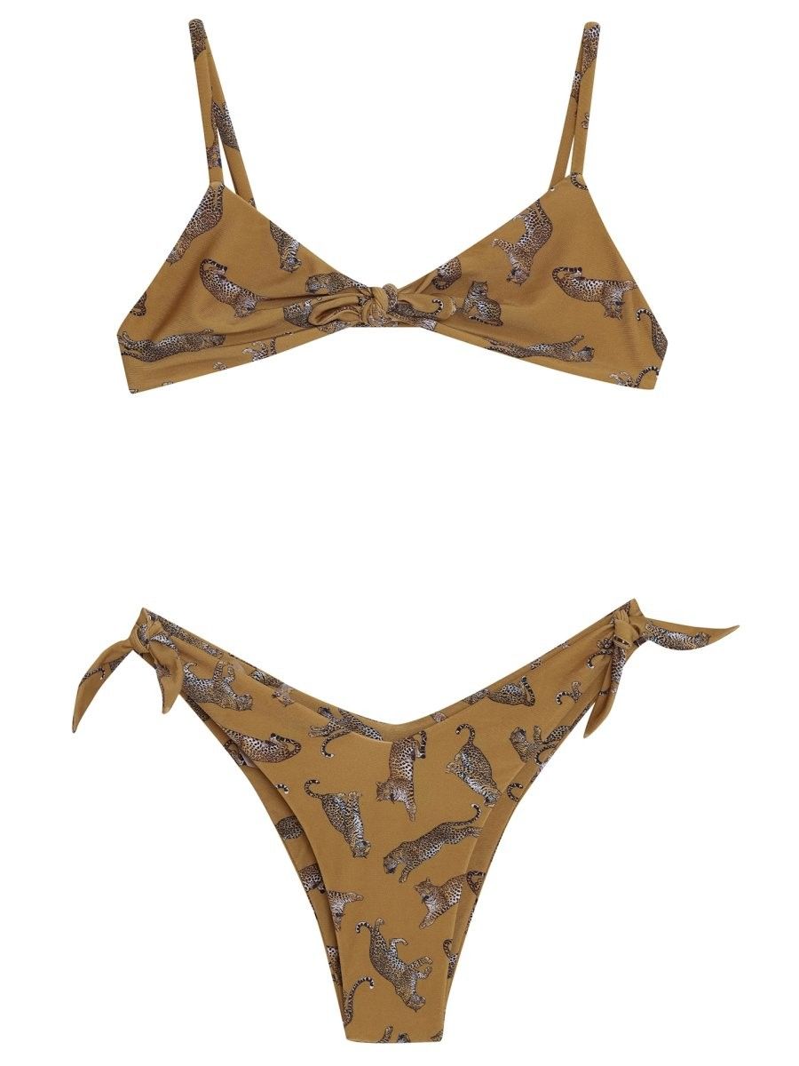 top faixa palau leopard T19 triya