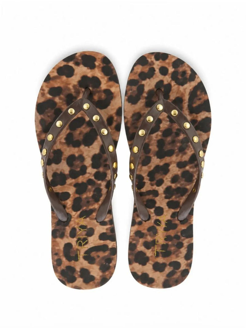 chinelo felina AC14 triya